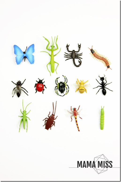 Bug Hunt Sensory Bin | @mamamissblog #bugs #sensorybin #homeschool
